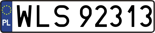 WLS92313