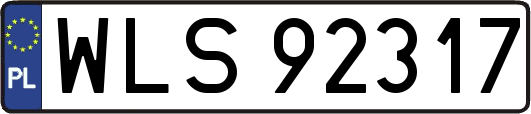 WLS92317