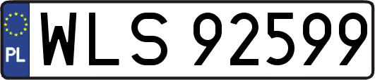 WLS92599