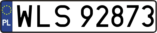 WLS92873