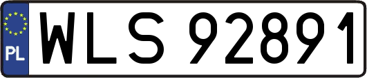 WLS92891