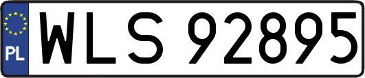 WLS92895