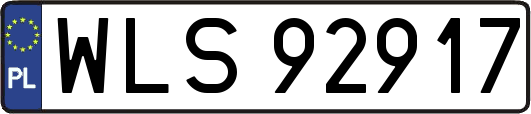WLS92917