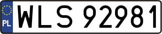 WLS92981