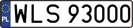 WLS93000
