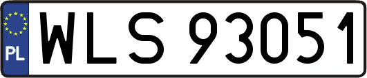 WLS93051