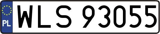 WLS93055