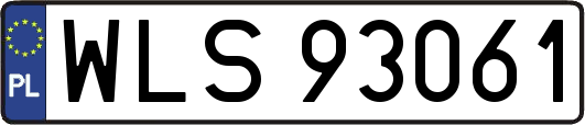 WLS93061