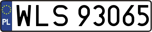 WLS93065