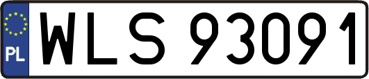 WLS93091