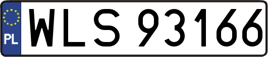 WLS93166