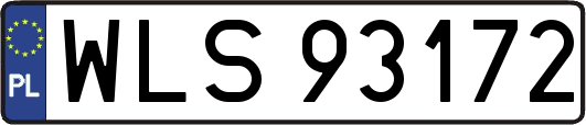 WLS93172