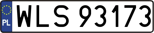 WLS93173