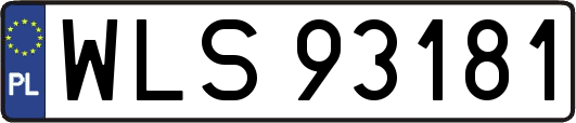 WLS93181