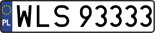 WLS93333