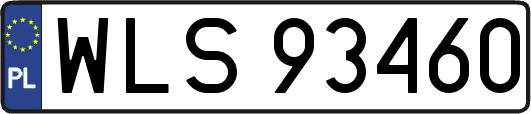 WLS93460