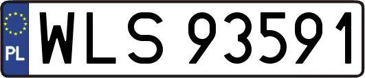 WLS93591