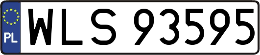 WLS93595