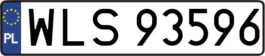 WLS93596