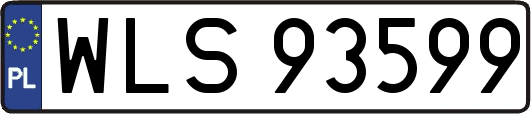 WLS93599