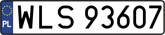 WLS93607