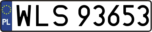 WLS93653