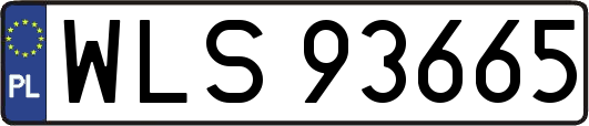 WLS93665