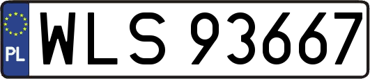WLS93667