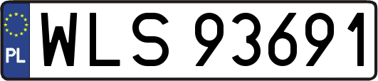 WLS93691