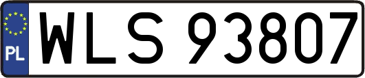 WLS93807