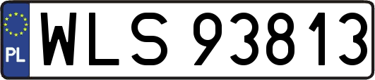 WLS93813