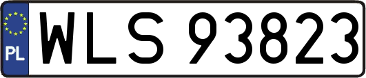 WLS93823