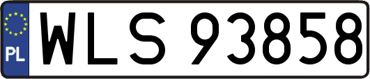 WLS93858