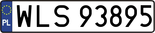 WLS93895