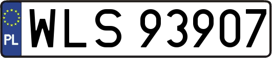 WLS93907