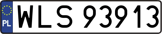 WLS93913