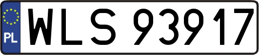 WLS93917