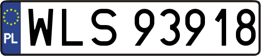WLS93918