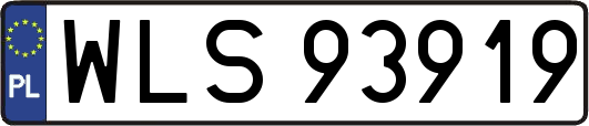 WLS93919