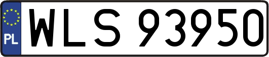 WLS93950