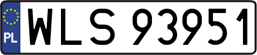 WLS93951