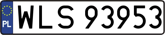 WLS93953