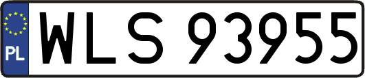 WLS93955