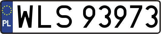 WLS93973