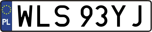 WLS93YJ
