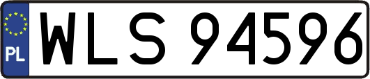 WLS94596