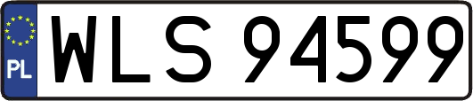 WLS94599