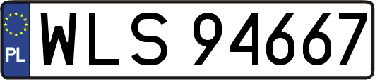 WLS94667