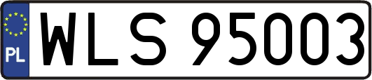 WLS95003