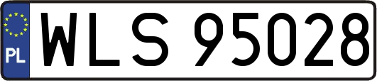 WLS95028